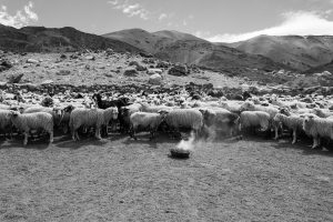 Cachi, Salta, Argentina. 