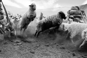 Cachi, Salta, Argentina. 