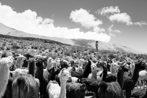 Cachi, Salta, Argentina. 