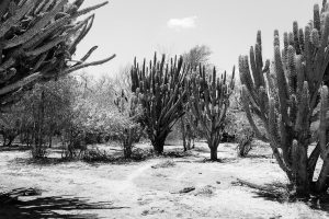 Salta, Argentina. 